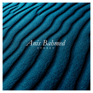 ETHBET_ANIS_FULL_BLEU